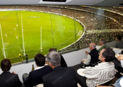 mcg corporate box